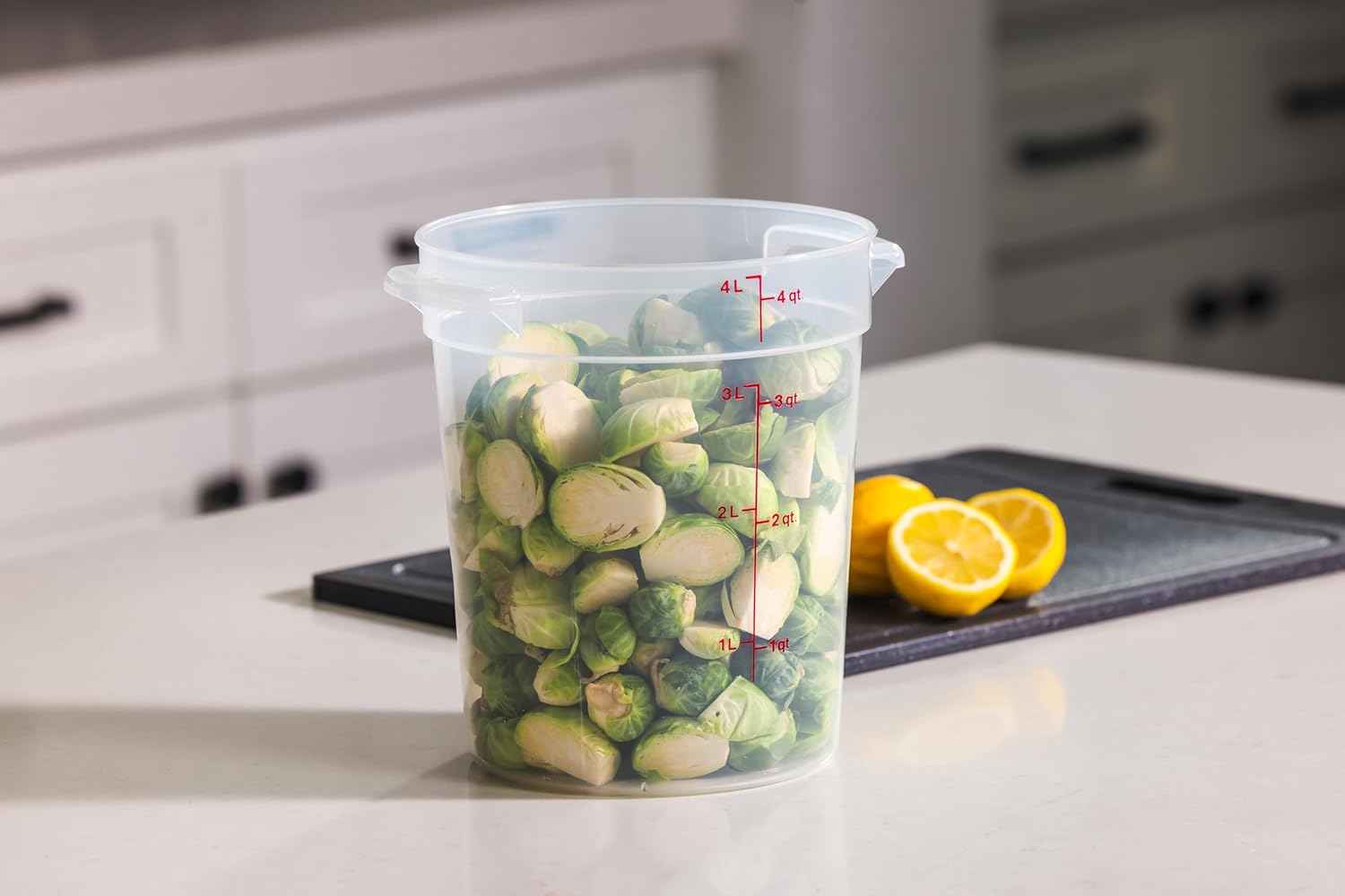 4 Quart Food Storage Container - Food Storage 4 Quart avis et prix