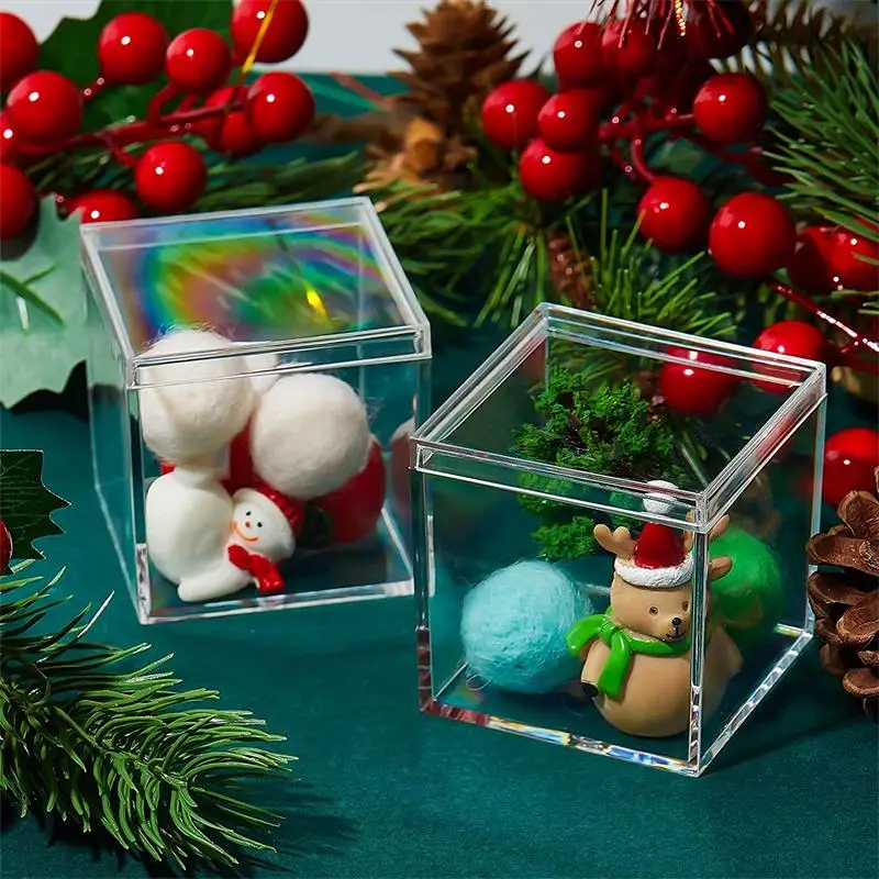 12 PCS Transparent Acrylic Box - Food Storage With Dividers avis et prix