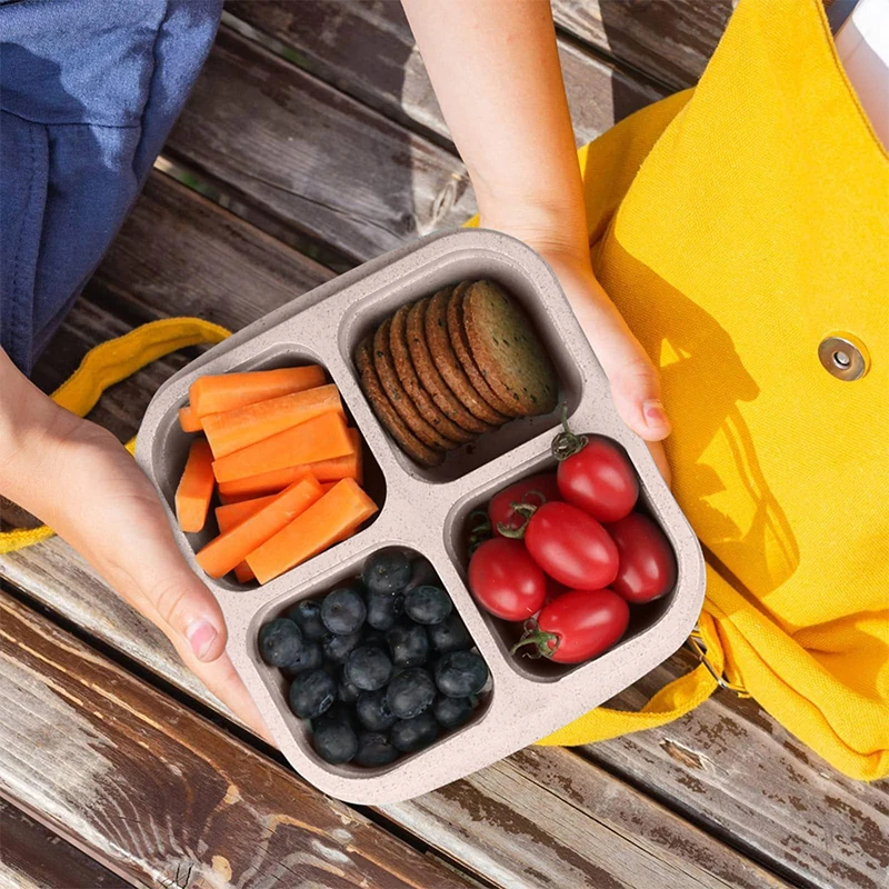 4 Grids Food Storage Box Porta - Food Storage Drawer Organizer avis et prix