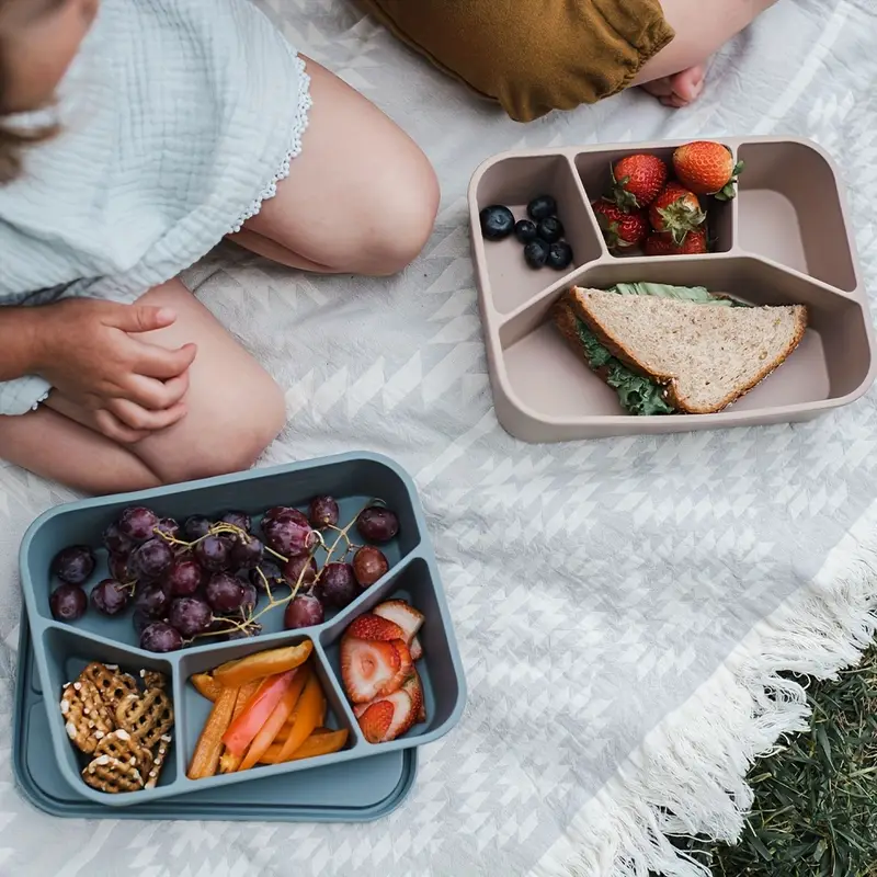 Food-grade eco-friendly leak-p - Food Storage Drawer Organizer avis et prix