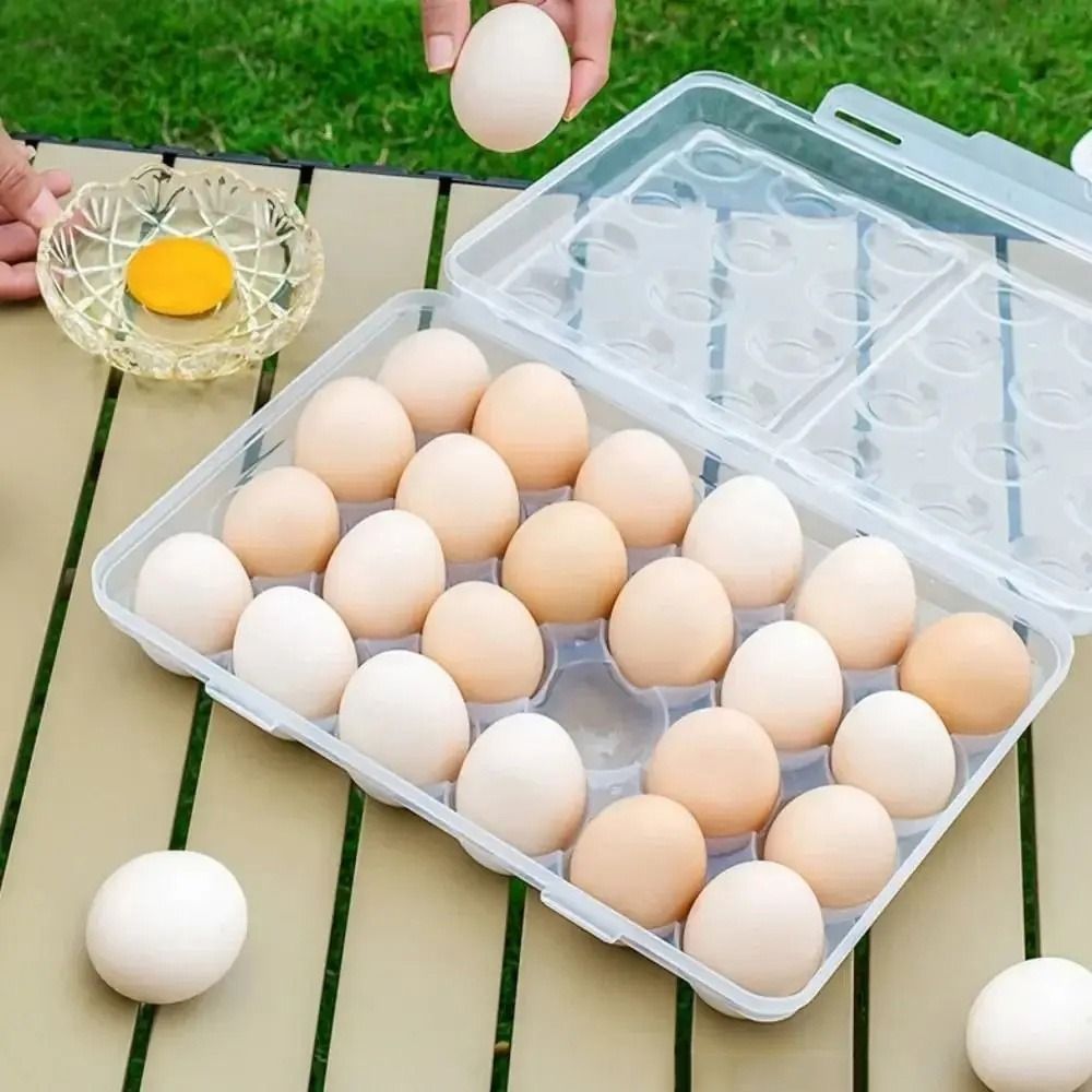 Plastic Egg Storage Box Anti-c - Food Storage With Dividers avis et prix